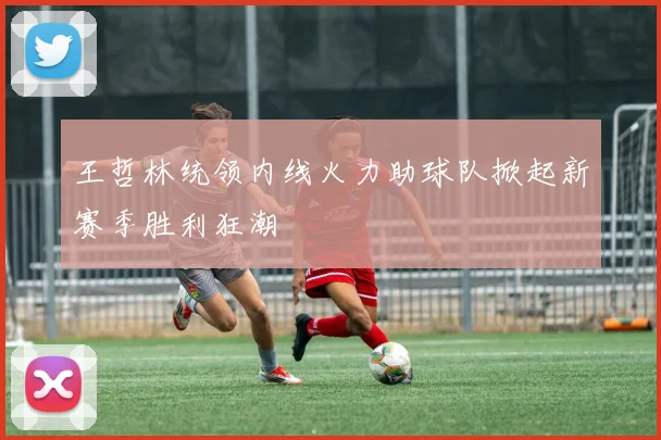 王哲林统领内线火力助球队掀起新赛季胜利狂潮