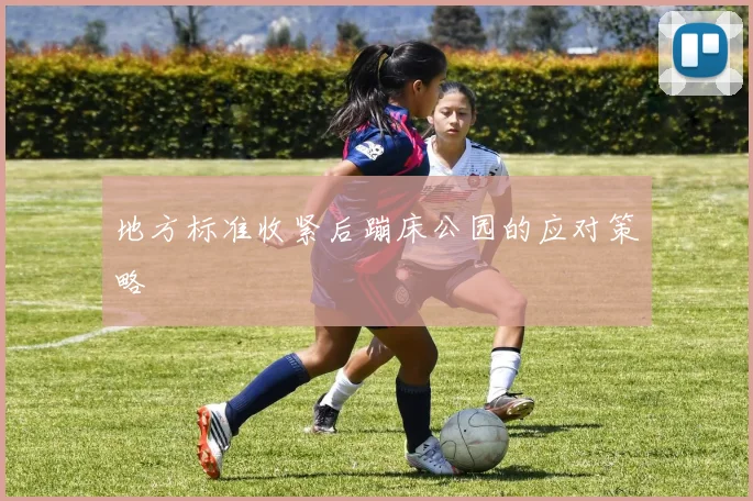 地方标准收紧后蹦床公园的应对策略