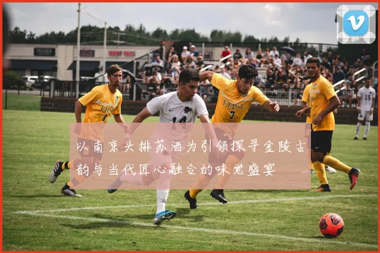 以南京头排苏酒为引领探寻金陵古韵与当代匠心融合的味觉盛宴